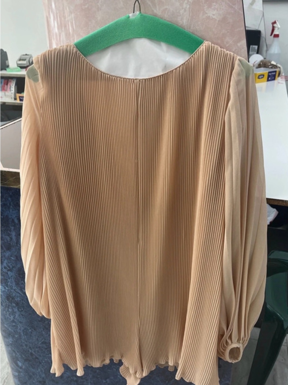 Zara Pleated Long-Sleeve Blouse in Beige